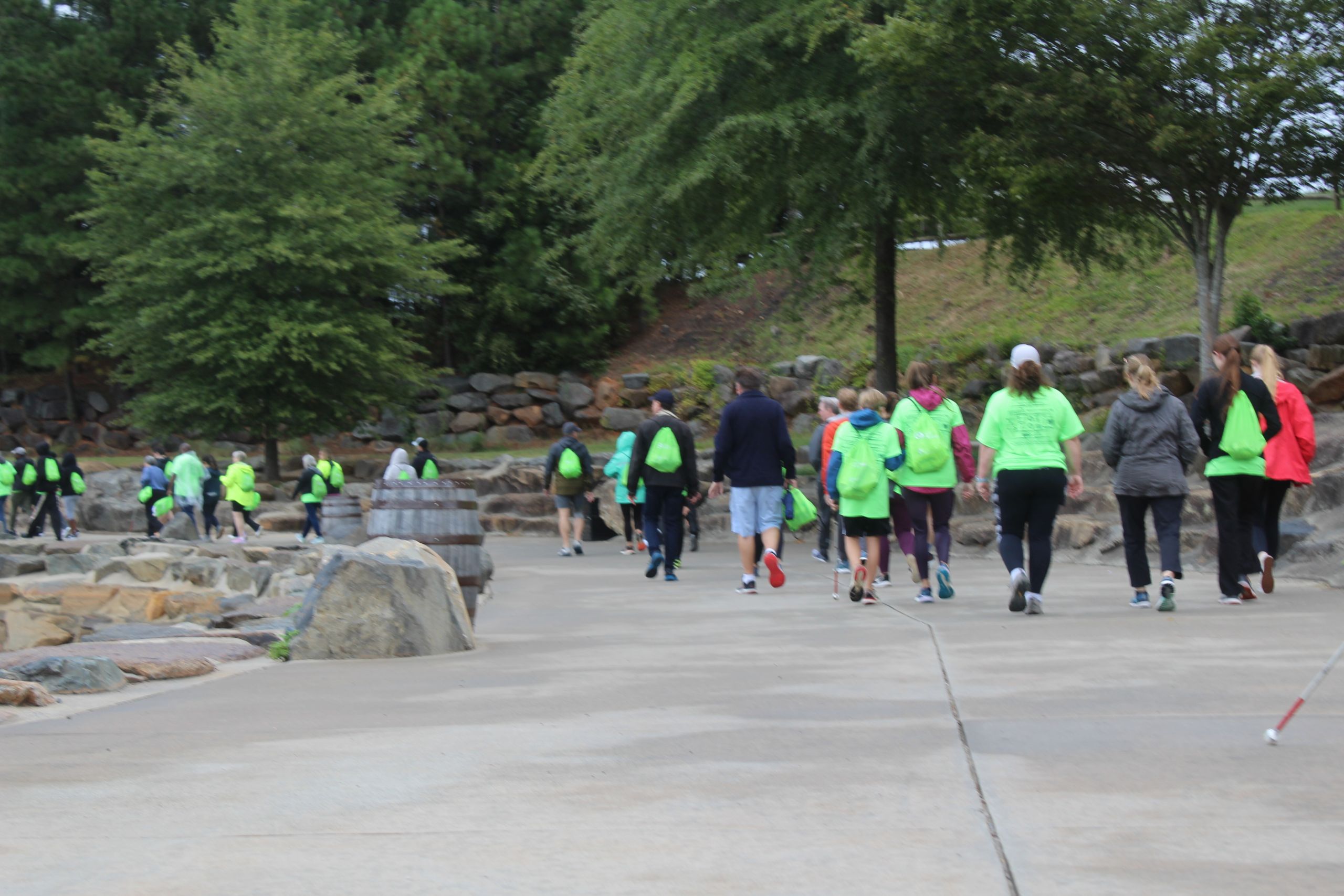 Photo Angled Behind Everyone Walking 3k Walk for Blind Independence